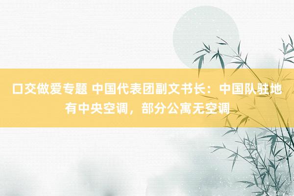 口交做爱专题 中国代表团副文书长:中国队驻地有中央空调,部分公寓无空调