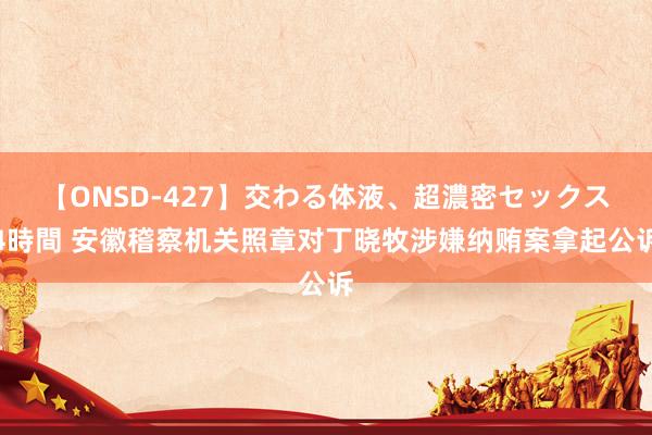 【ONSD-427】交わる体液、超濃密セックス4時間 安徽稽察机关照章对丁晓牧涉嫌纳贿案拿起公诉
