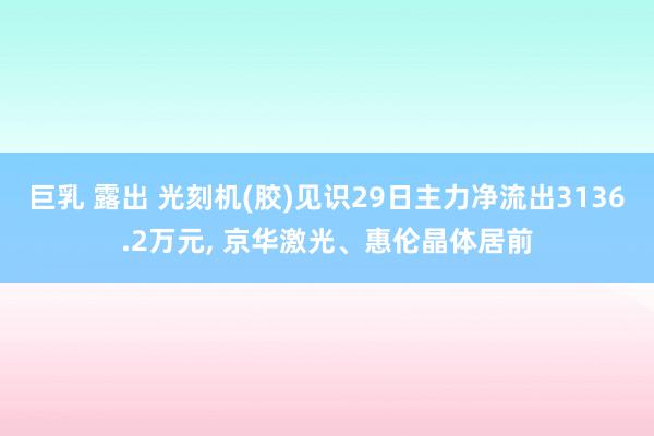 巨乳 露出 光刻机(胶)见识29日主力净流出3136.2万元, 京华激光、惠伦晶体居前