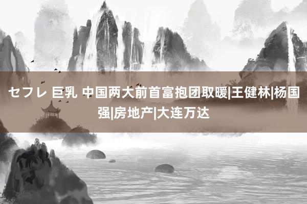 セフレ 巨乳 中国两大前首富抱团取暖|王健林|杨国强|房地产|大连万达