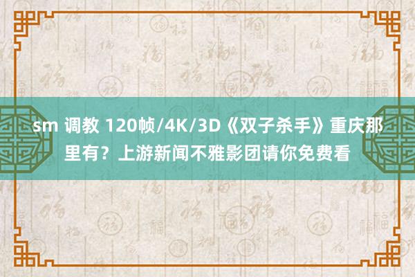 sm 调教 120帧/4K/3D《双子杀手》重庆那里有？上游新闻不雅影团请你免费看