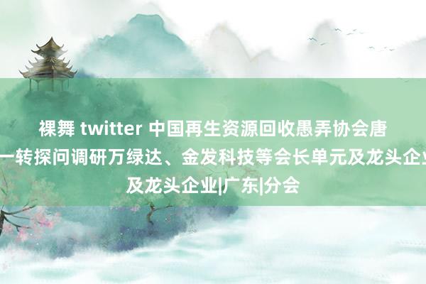 裸舞 twitter 中国再生资源回收愚弄协会唐艳菊布告长一转探问调研万绿达、金发科技等会长单元及龙头企业|广东|分会