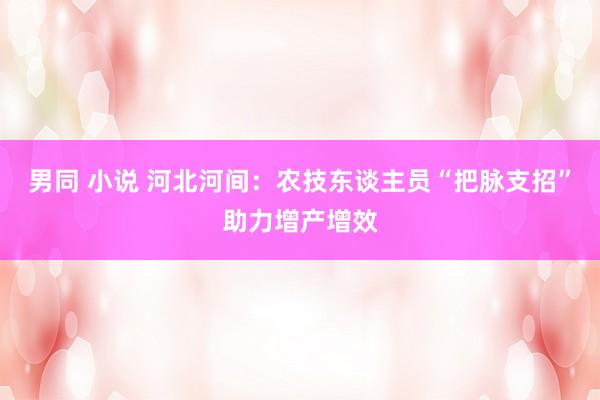 男同 小说 河北河间：农技东谈主员“把脉支招”助力增产增效