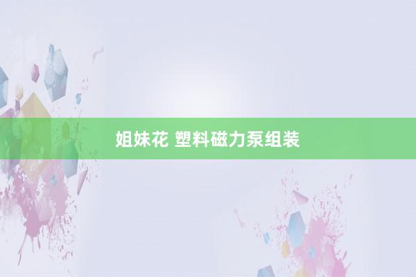 姐妹花 塑料磁力泵组装