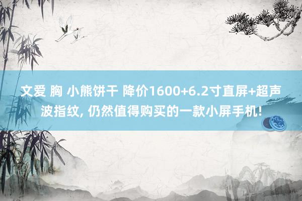 文爱 胸 小熊饼干 降价1600+6.2寸直屏+超声波指纹， 仍然值得购买的一款小屏手机!