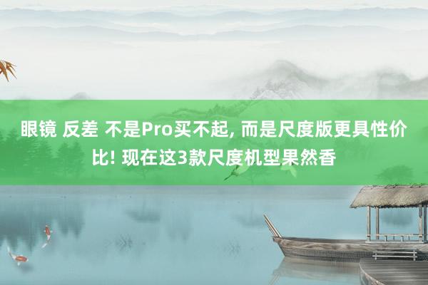 眼镜 反差 不是Pro买不起， 而是尺度版更具性价比! 现在这3款尺度机型果然香