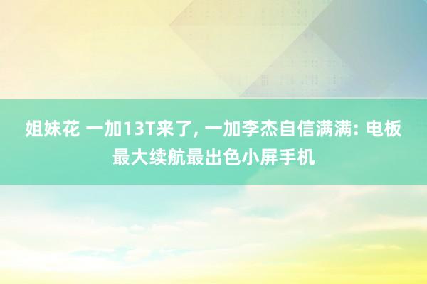 姐妹花 一加13T来了， 一加李杰自信满满: 电板最大续航最出色小屏手机