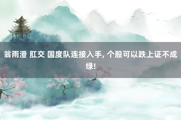 翁雨澄 肛交 国度队连接入手， 个股可以跌上证不成绿!