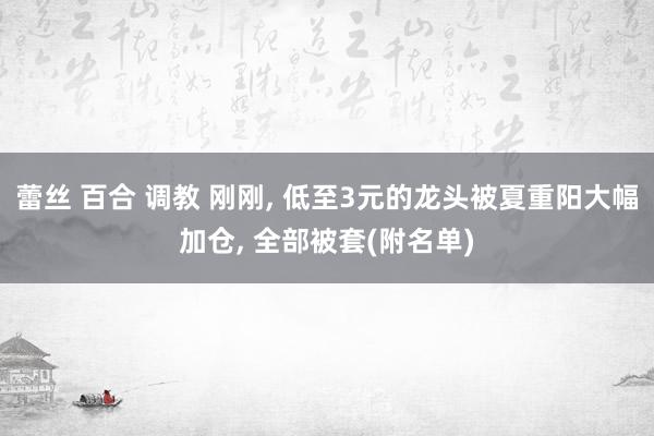 蕾丝 百合 调教 刚刚， 低至3元的龙头被夏重阳大幅加仓， 全部被套(附名单)