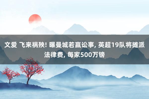 文爱 飞来祸殃! 曝曼城若赢讼事， 英超19队将摊派法律费， 每家500万镑