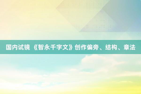 国内试镜 《智永千字文》创作偏旁、结构、章法