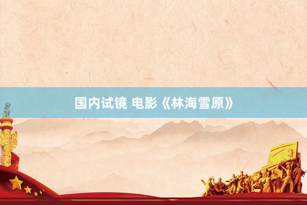 国内试镜 电影《林海雪原》